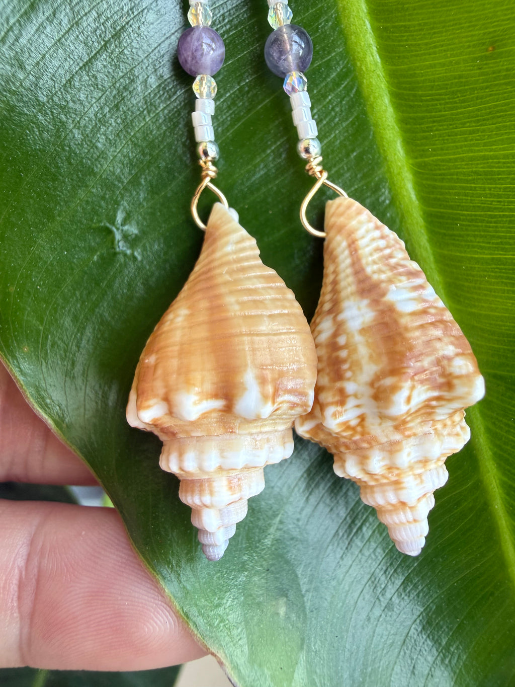 Florida Fighting conch Purple Hearts & amethyst earrings