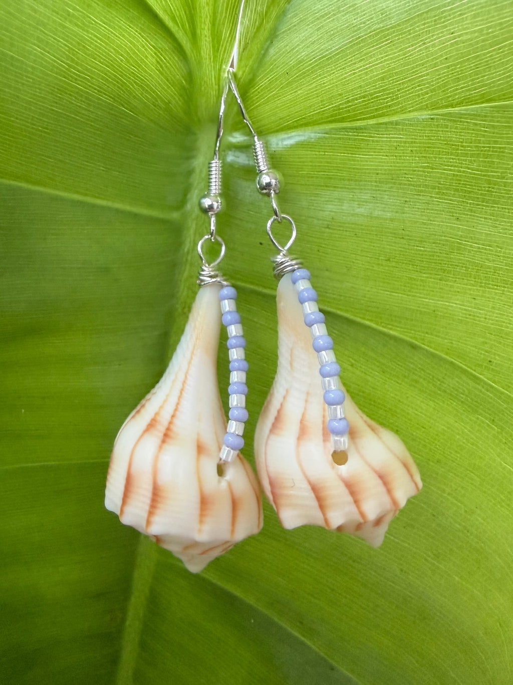 Lighting whelk earrings