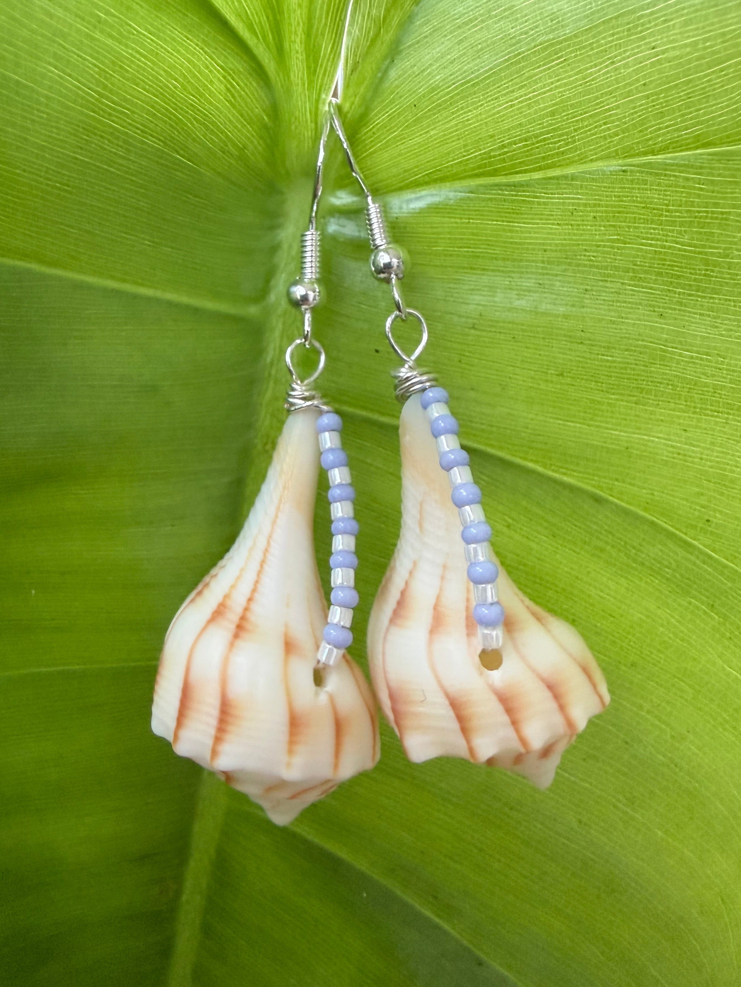 Lighting whelk earrings