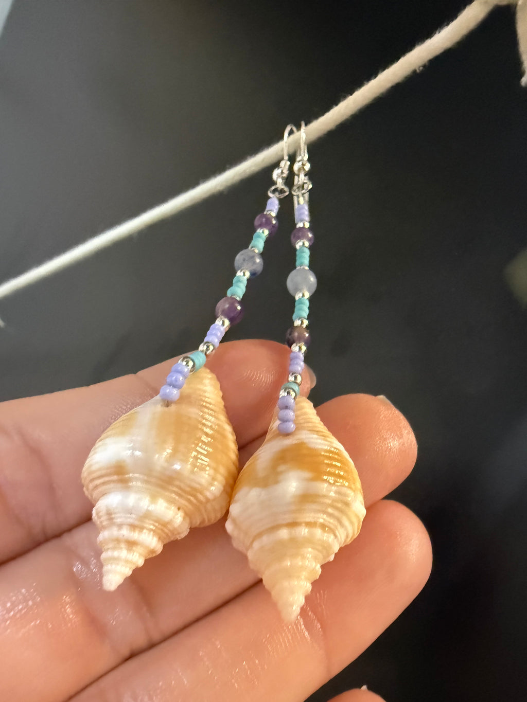 Juvenile Florida Fighting Conch straight dangle earrings