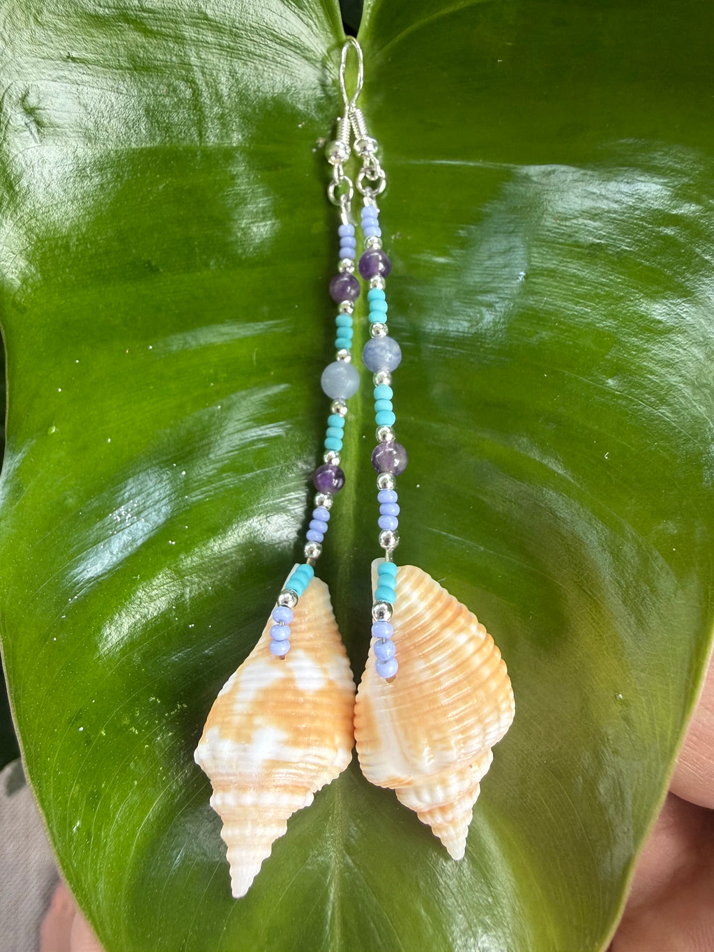 Juvenile Florida Fighting Conch straight dangle earrings