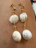 Gold dangle earrings w/Shark eyes and pieces of banded tulips.