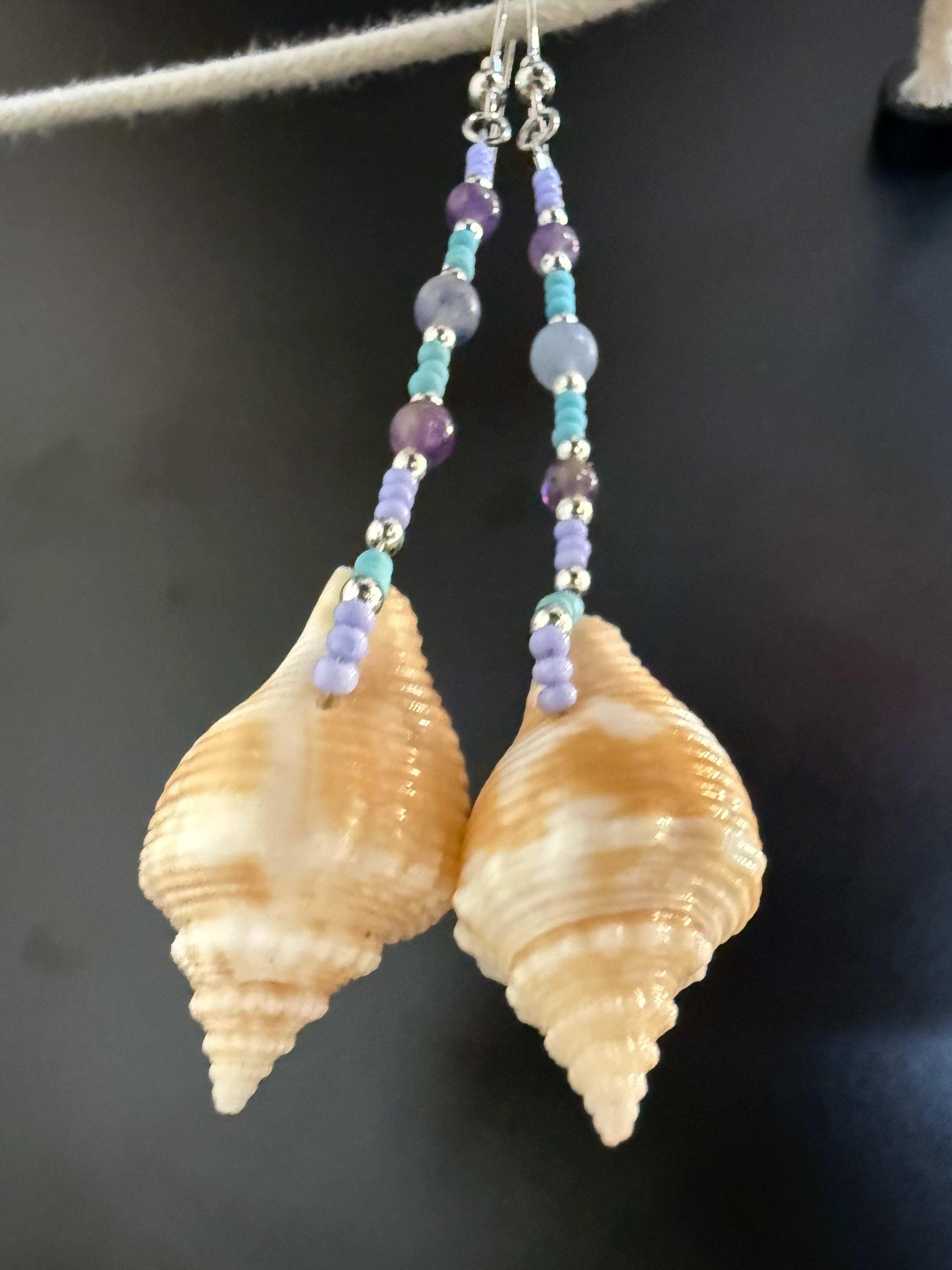 Juvenile Florida Fighting Conch straight dangle earrings