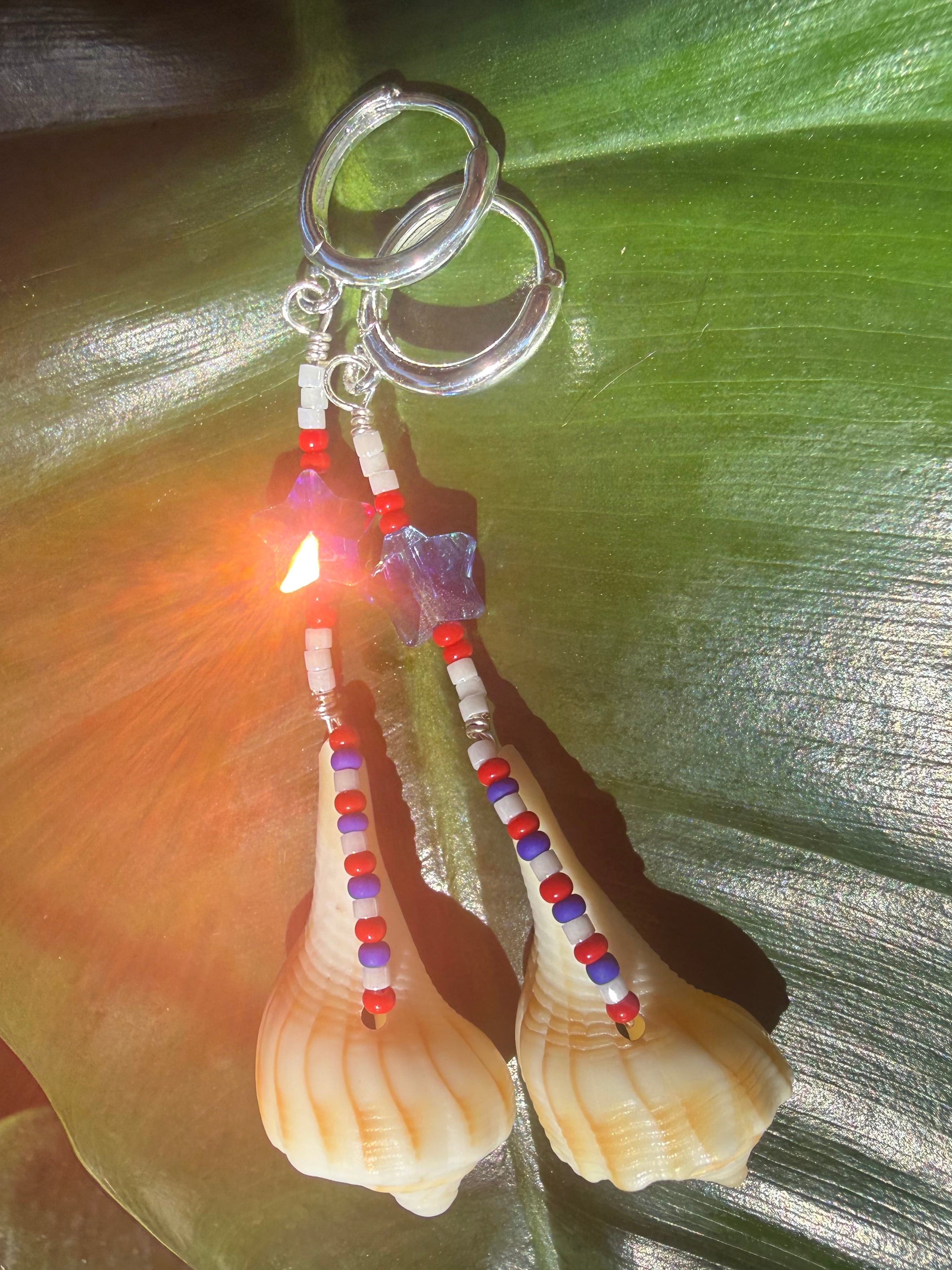 Red white n blue lightning whelk