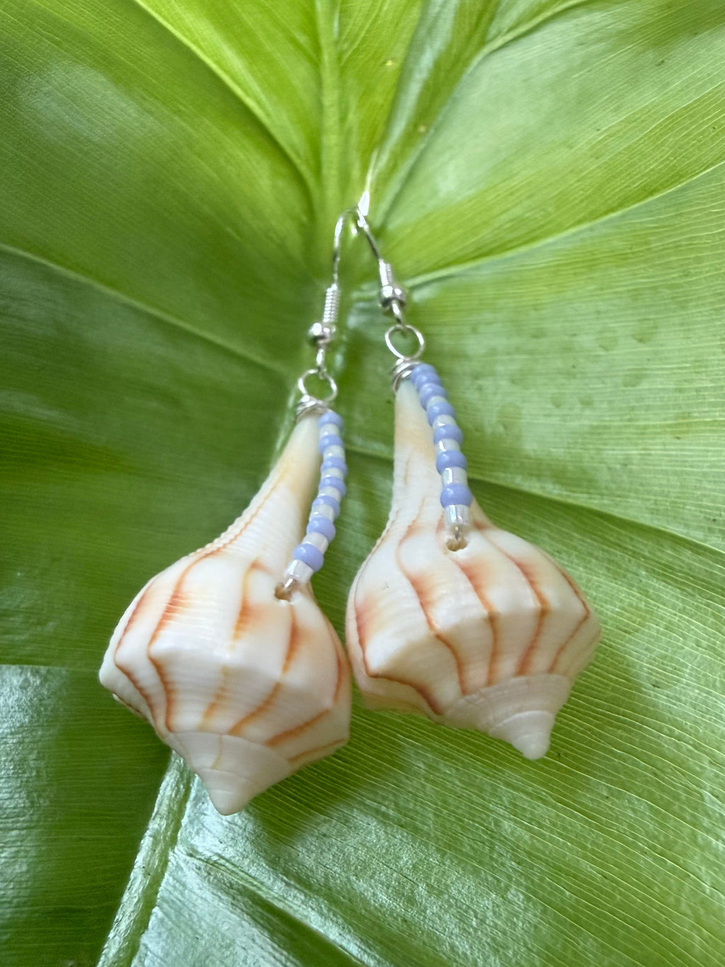 Lighting whelk earrings