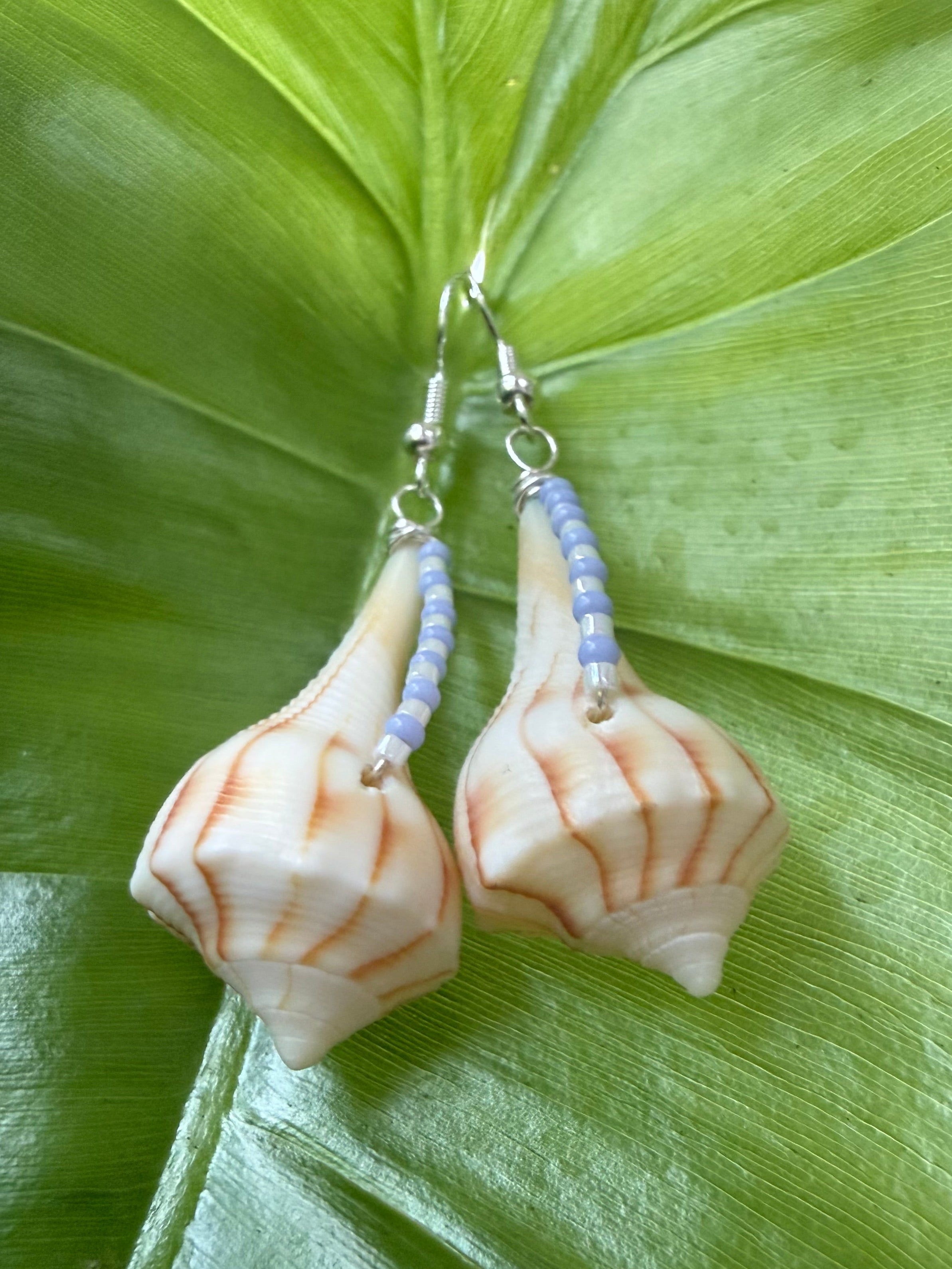 Lighting whelk earrings