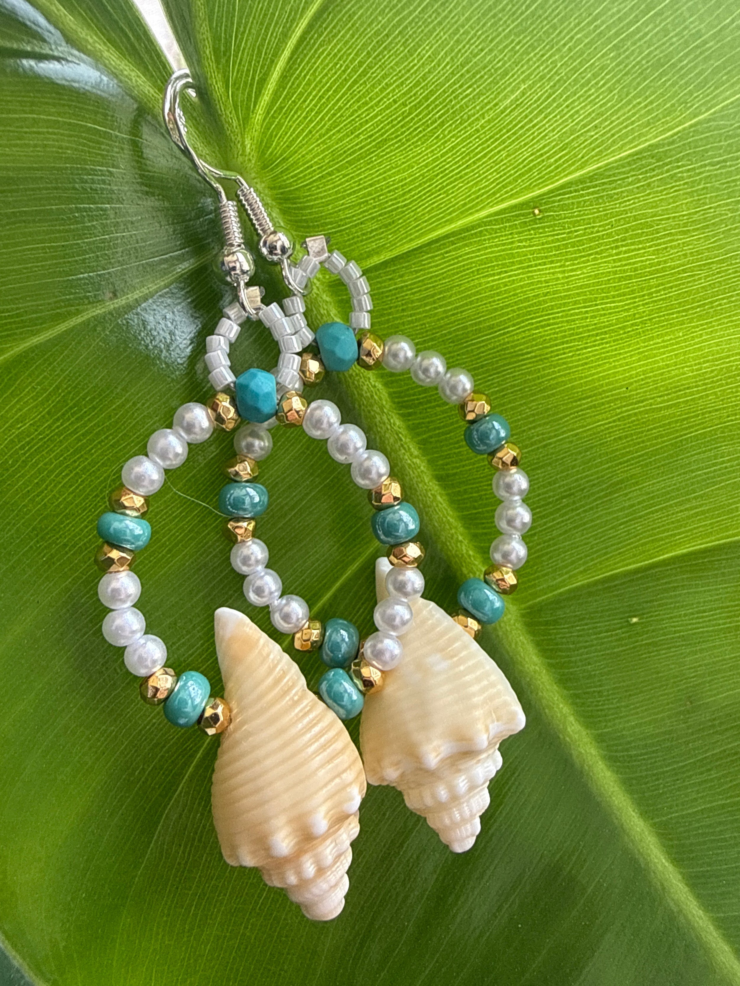 Florida fighting Conch mini hoops