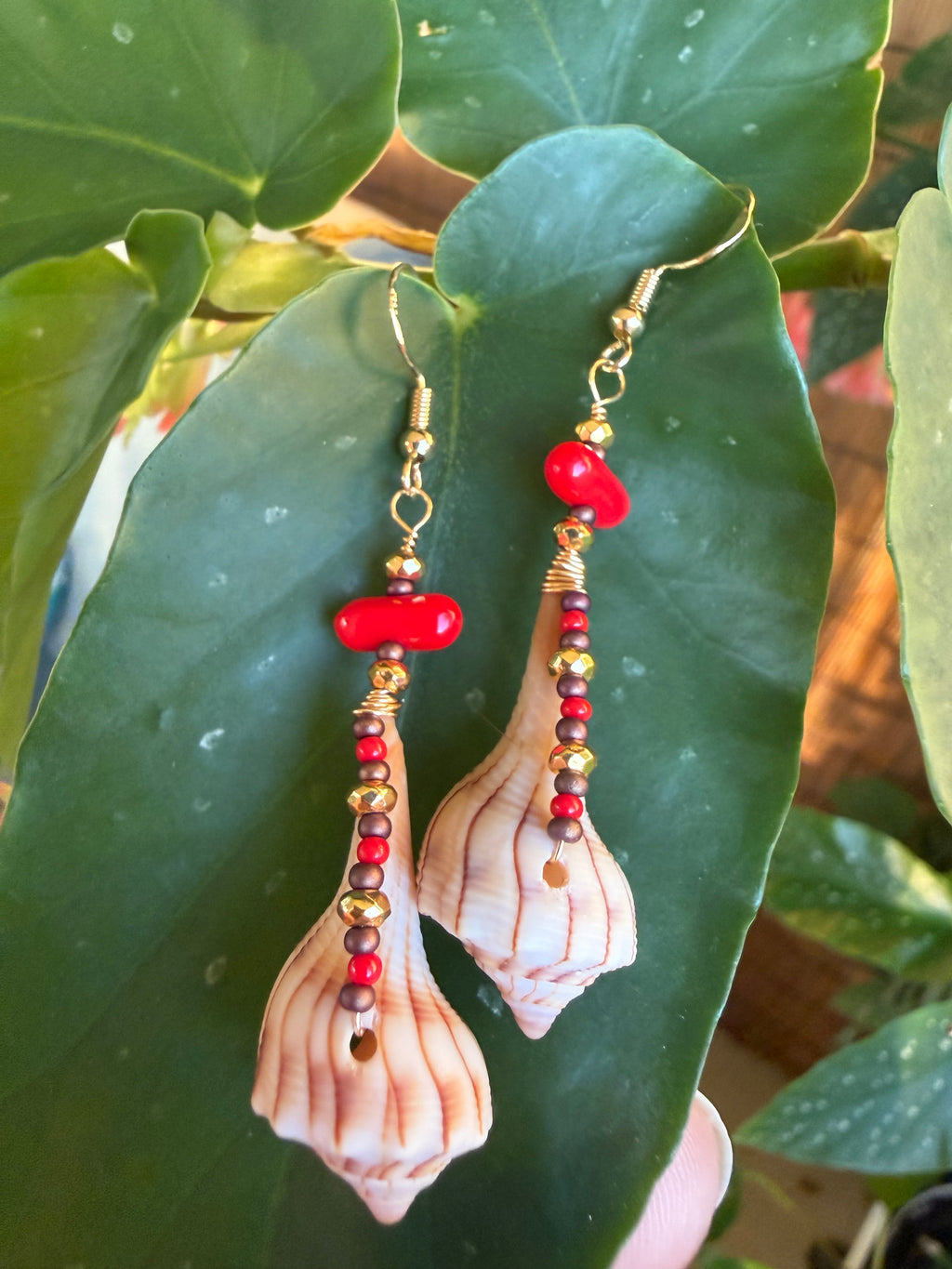 Lightning Whelk dangle earrings and drop pendant.