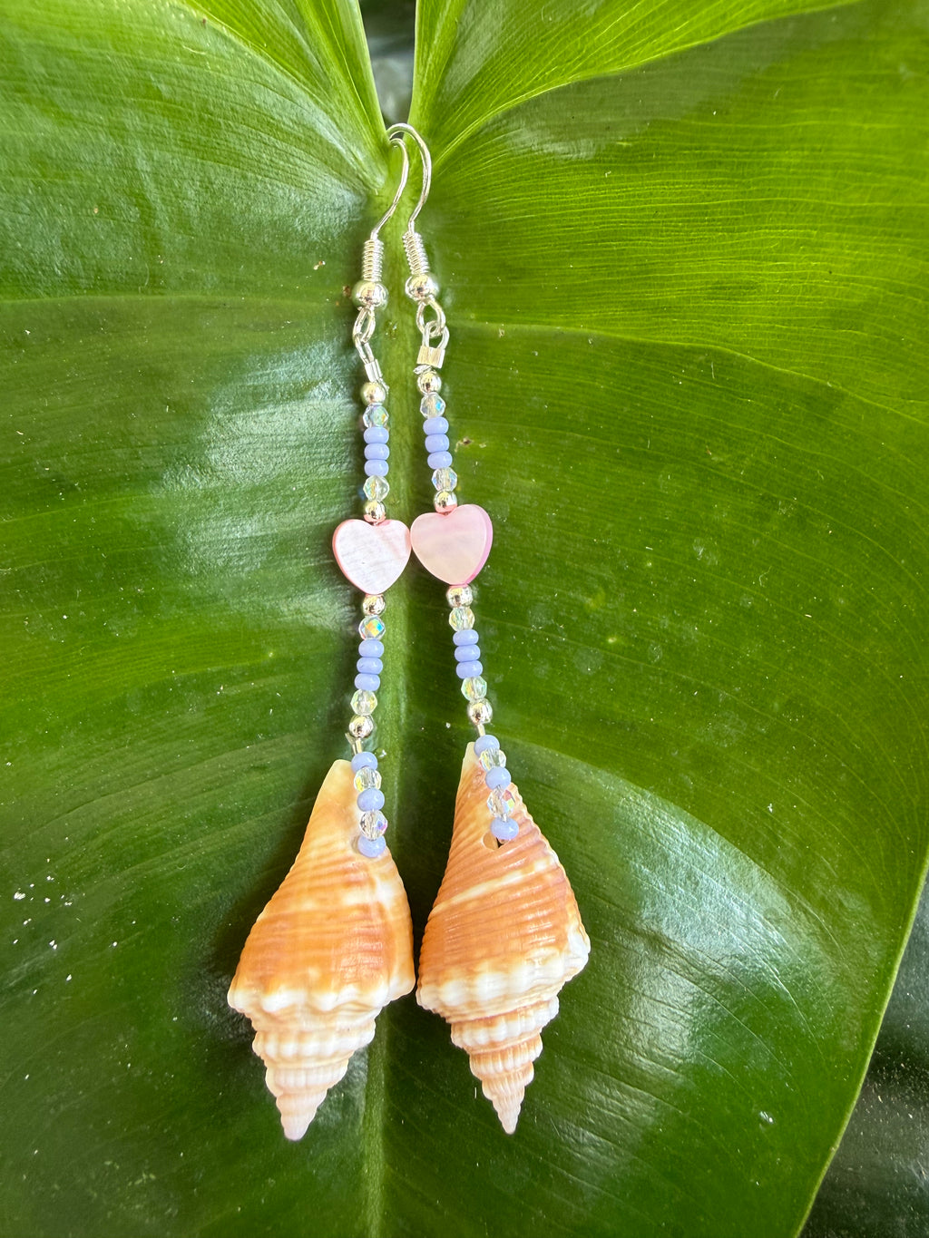 Florida Fighting Conch & hearts