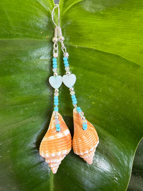 Florida Fighting Conch & hearts