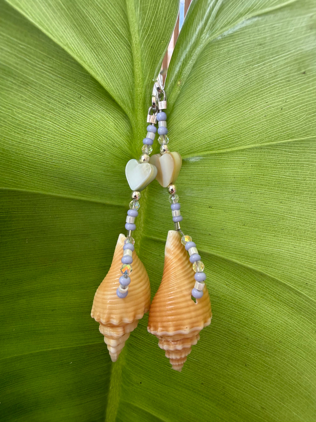 Florida Fighting Conch & hearts