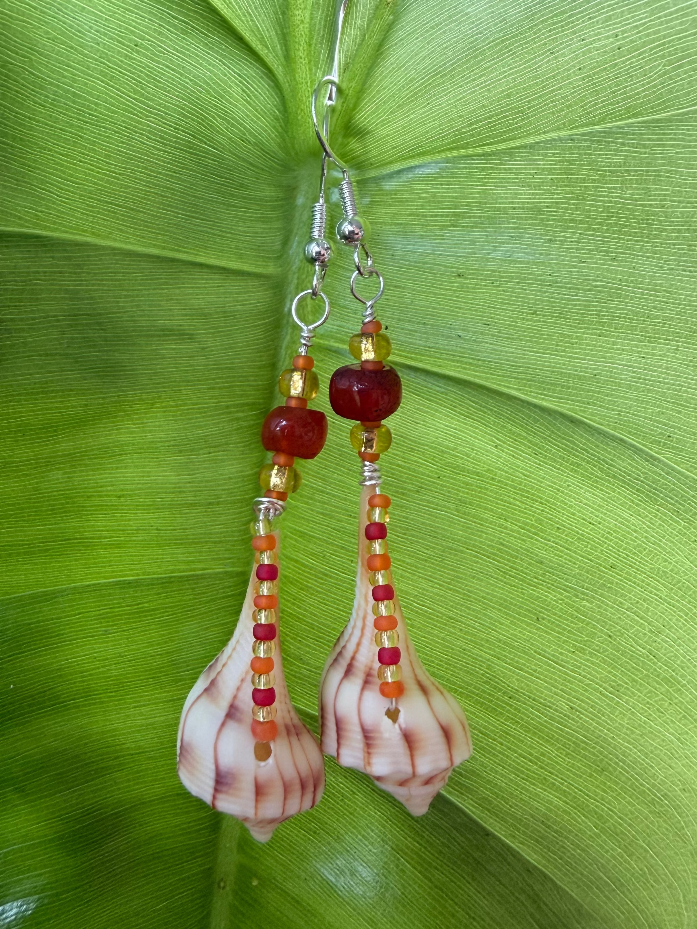 Lightning Whelk with carnelian earrings