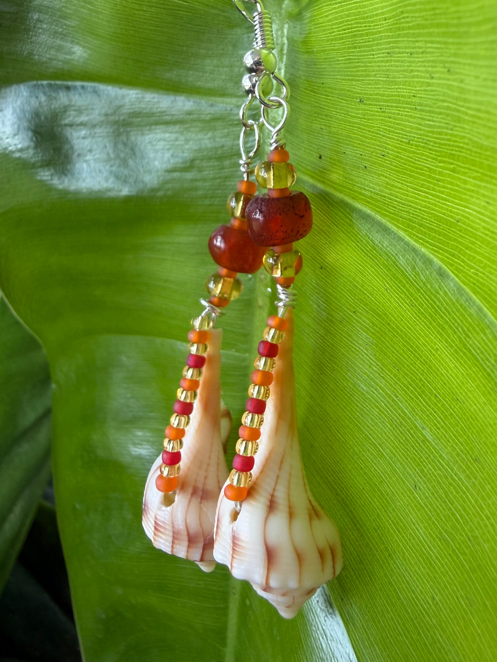 Lightning Whelk with carnelian earrings