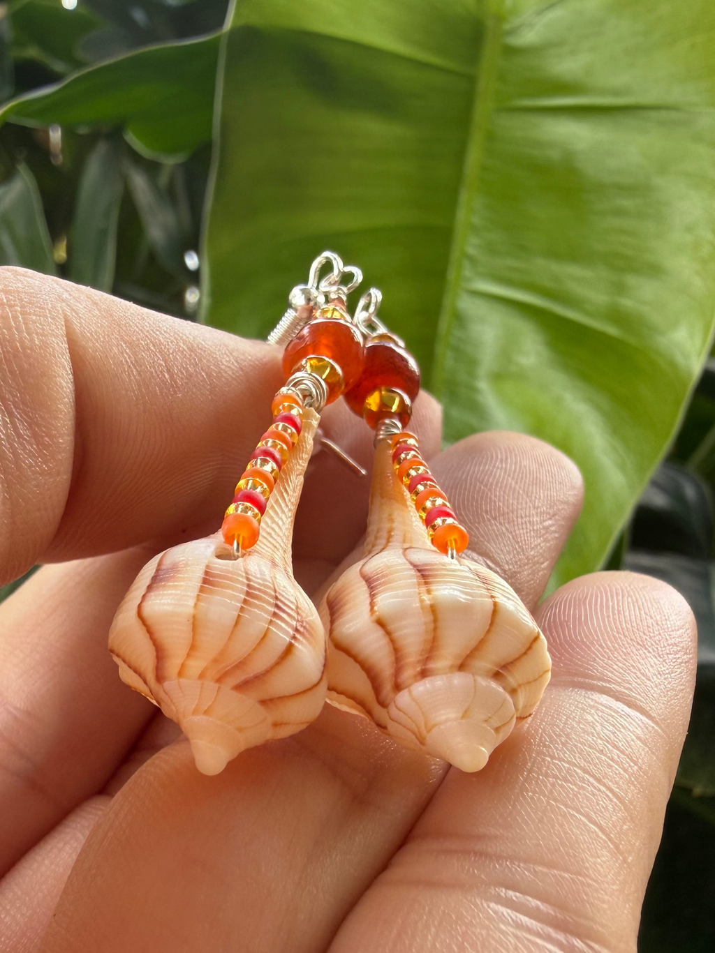 Lightning Whelk with carnelian earrings