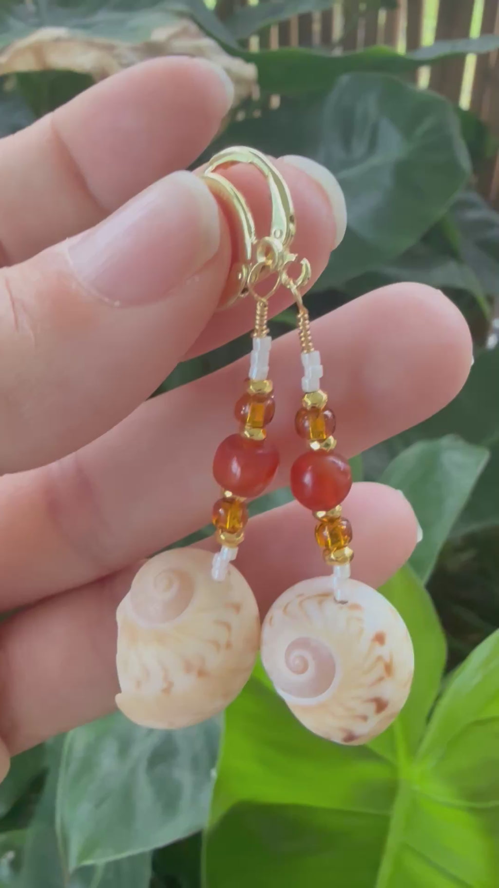 Gaudy Nautica shells, gold wire wrap earrings