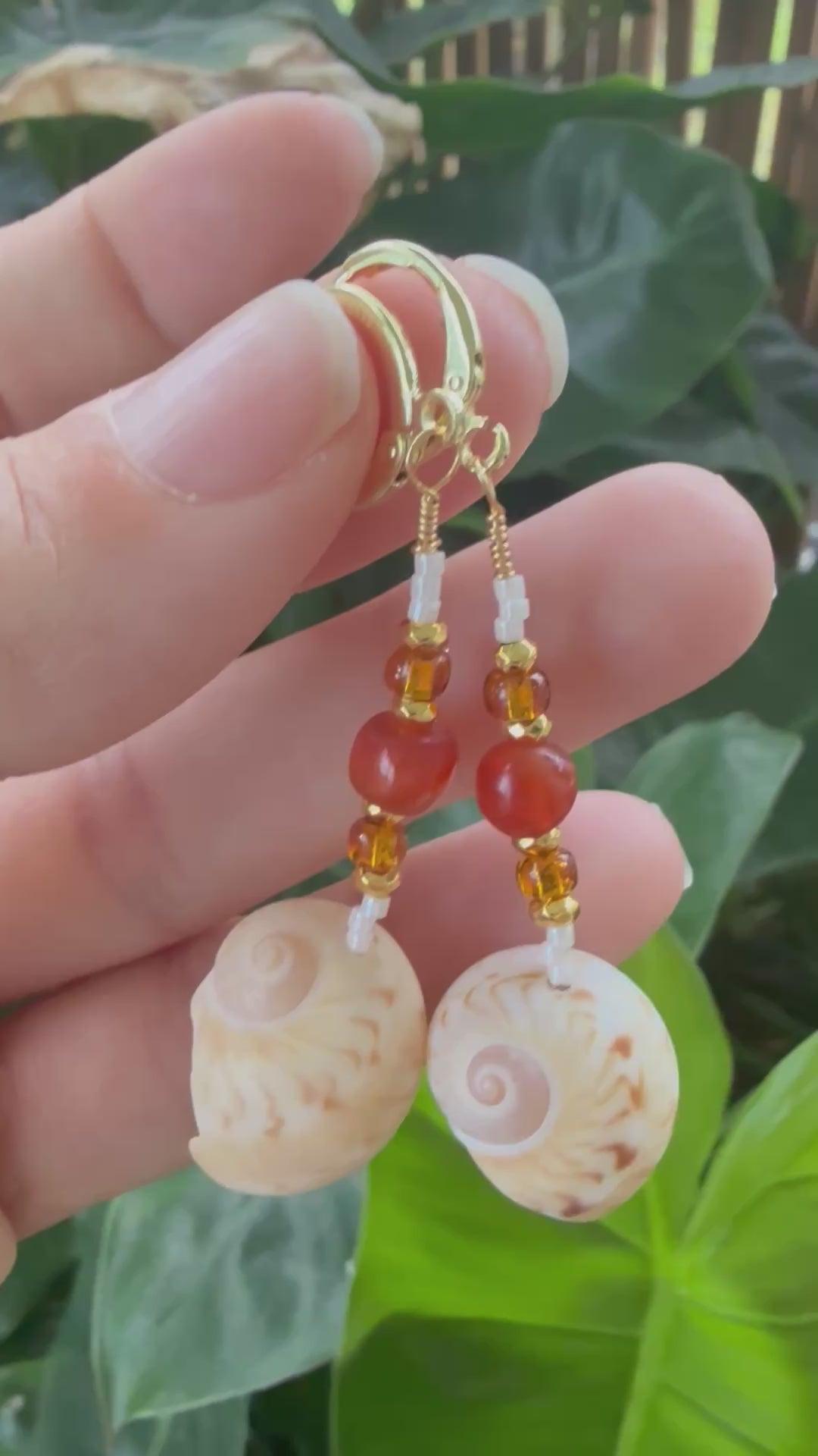 Gaudy Nautica shells, gold wire wrap earrings