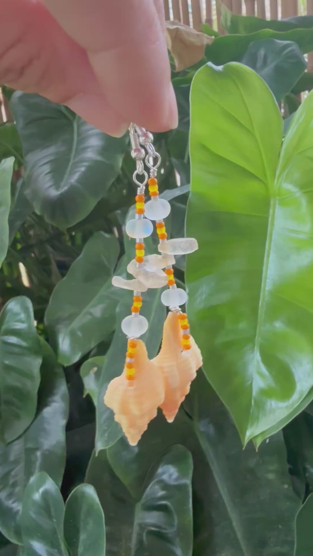Light yellow Horse conch / crystal earrings